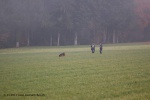 Concours_annuel_10-11-12003.jpg