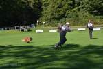 20200905 Challenge Romand du berger allemand 2020 BA Morges - 53 sur 248.jpg