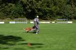 20200905 Challenge Romand du berger allemand 2020 BA Morges - 60 sur 248.jpg