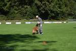 20200905 Challenge Romand du berger allemand 2020 BA Morges - 62 sur 248.jpg