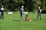 20200905 Challenge Romand du berger allemand 2020 BA Morges - 69 sur 248.jpg