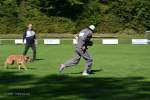 20200905 Challenge Romand du berger allemand 2020 BA Morges - 72 sur 248.jpg