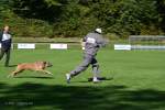 20200905 Challenge Romand du berger allemand 2020 BA Morges - 73 sur 248.jpg