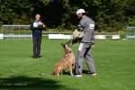 20200905 Challenge Romand du berger allemand 2020 BA Morges - 80 sur 248.jpg