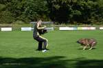 20200905 Challenge Romand du berger allemand 2020 BA Morges - 100 sur 248.jpg