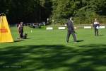 20200905 Challenge Romand du berger allemand 2020 BA Morges - 111 sur 248.jpg