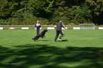 20200905 Challenge Romand du berger allemand 2020 BA Morges - 113 sur 248.jpg