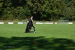 20200905 Challenge Romand du berger allemand 2020 BA Morges - 116 sur 248.jpg