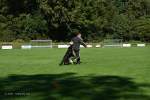 20200905 Challenge Romand du berger allemand 2020 BA Morges - 118 sur 248.jpg