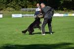 20200905 Challenge Romand du berger allemand 2020 BA Morges - 122 sur 248.jpg