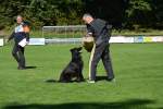 20200905 Challenge Romand du berger allemand 2020 BA Morges - 123 sur 248.jpg