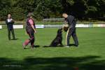 20200905 Challenge Romand du berger allemand 2020 BA Morges - 125 sur 248.jpg
