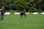 20200905 Challenge Romand du berger allemand 2020 BA Morges - 130 sur 248.jpg