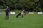 20200905 Challenge Romand du berger allemand 2020 BA Morges - 133 sur 248.jpg