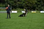 20200905 Challenge Romand du berger allemand 2020 BA Morges - 134 sur 248.jpg