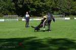 20200905 Challenge Romand du berger allemand 2020 BA Morges - 141 sur 248.jpg