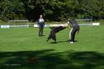 20200905 Challenge Romand du berger allemand 2020 BA Morges - 142 sur 248.jpg