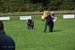 20200905 Challenge Romand du berger allemand 2020 BA Morges - 161 sur 248.jpg