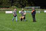 20200905 Challenge Romand du berger allemand 2020 BA Morges - 172 sur 248.jpg