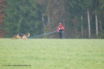 Concours_annuel_10-11-12017.jpg