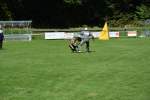 20200905 Challenge Romand du berger allemand 2020 BA Morges - 192 sur 248.jpg