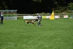 20200905 Challenge Romand du berger allemand 2020 BA Morges - 193 sur 248.jpg