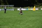 20200905 Challenge Romand du berger allemand 2020 BA Morges - 195 sur 248.jpg