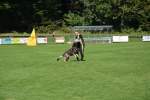 20200905 Challenge Romand du berger allemand 2020 BA Morges - 205 sur 248.jpg