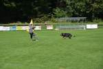 20200905 Challenge Romand du berger allemand 2020 BA Morges - 213 sur 248.jpg