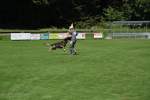 20200905 Challenge Romand du berger allemand 2020 BA Morges - 217 sur 248.jpg