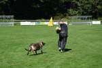 20200905 Challenge Romand du berger allemand 2020 BA Morges - 224 sur 248.jpg