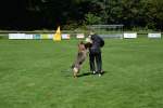 20200905 Challenge Romand du berger allemand 2020 BA Morges - 226 sur 248.jpg