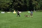 20200905 Challenge Romand du berger allemand 2020 BA Morges - 230 sur 248.jpg