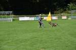 20200905 Challenge Romand du berger allemand 2020 BA Morges - 235 sur 248.jpg