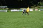 20200905 Challenge Romand du berger allemand 2020 BA Morges - 236 sur 248.jpg