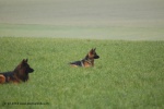 Concours_annuel_10-11-12038.jpg