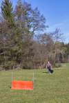 IMG_8614.jpeg