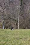IMG_8618.jpeg