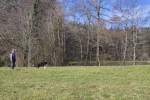 IMG_8620.jpeg