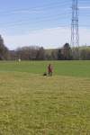 IMG_8631.jpeg