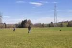 IMG_8634.jpeg