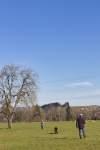 IMG_8657.jpeg