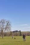 IMG_8658.jpeg