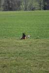 IMG_8664.jpeg