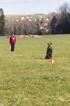 IMG_8677.jpeg