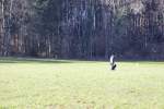 IMG_8696.jpeg