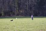 IMG_8702.jpeg