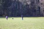 IMG_8705.jpeg