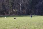 IMG_8707.jpeg