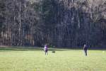 IMG_8708.jpeg